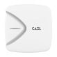 CASL1